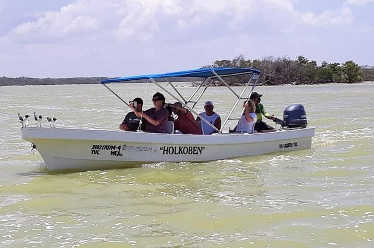 Las Coloradas e Rio Lagartos (escursione sul lago rosa) — 6