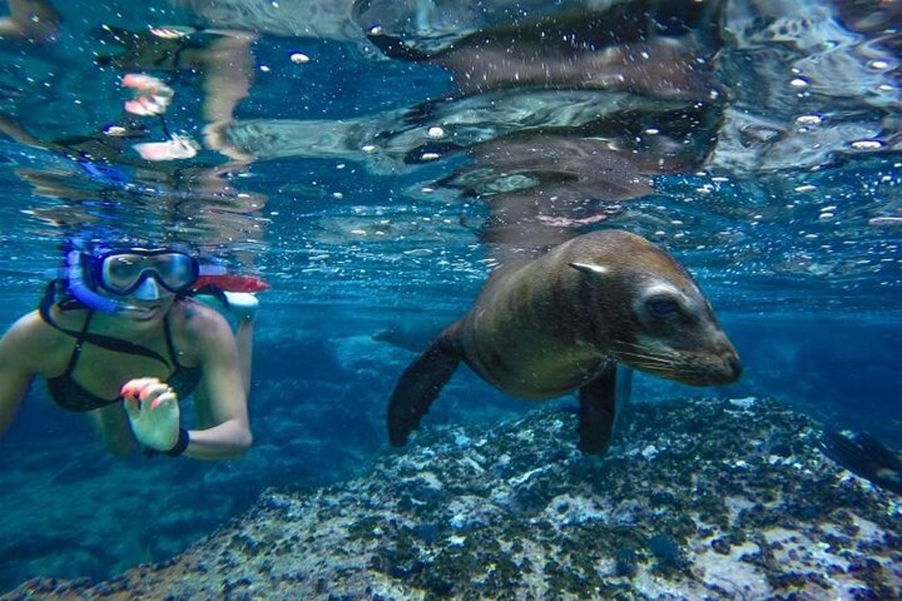 Tour in barca di Cabo San Lucas e snorkeling a Pelican Rock — 2