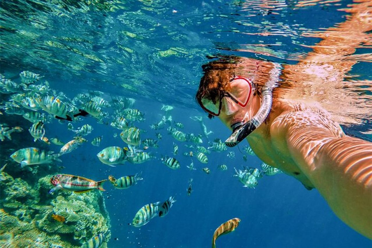 Tour in barca di Cabo San Lucas e snorkeling a Pelican Rock — 5