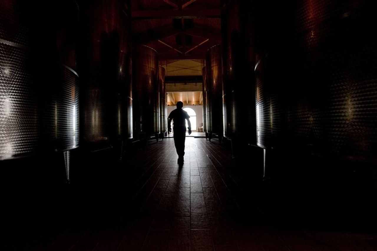Visita Guidata Cleto Chiarli con Degustazione di Lambrusco — 3