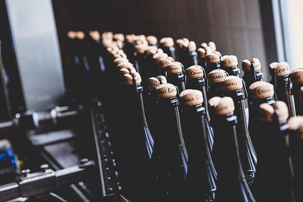 Visita Guidata Cleto Chiarli con Degustazione di Lambrusco — 4
