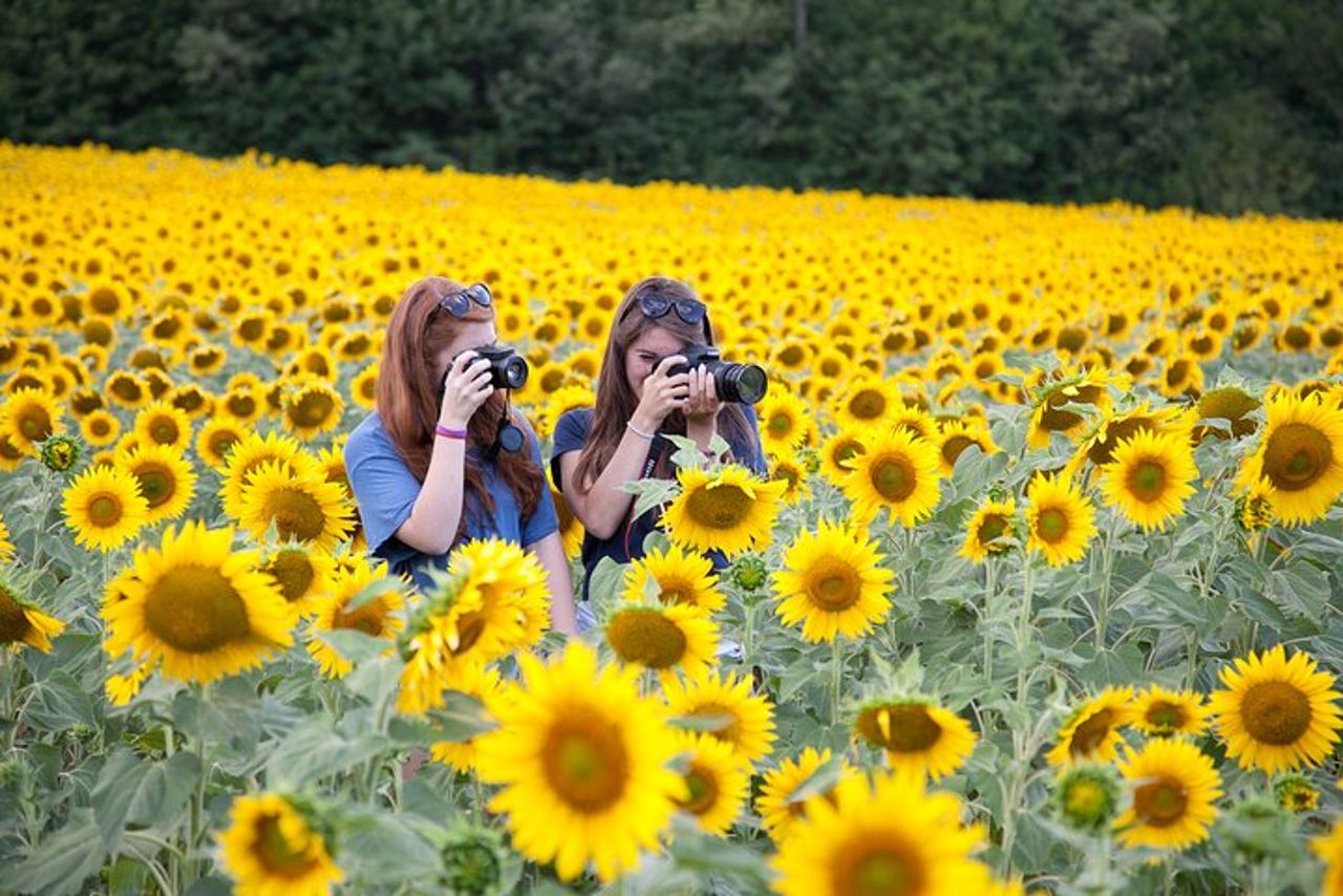 Esperienza di fotografia privata di mezza giornata ad Orvieto — 9