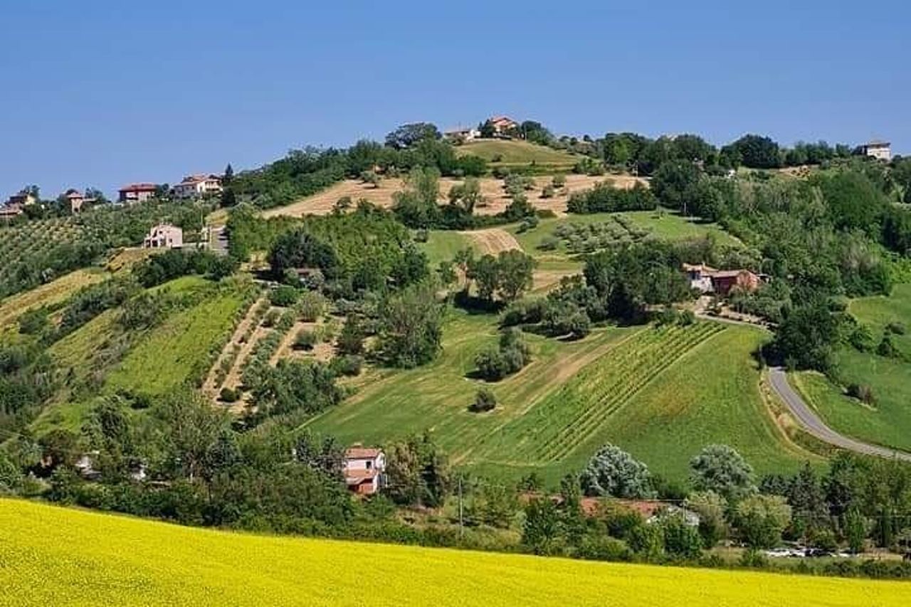 Tour Privato Guidato in E-bike a Bertinoro — 3