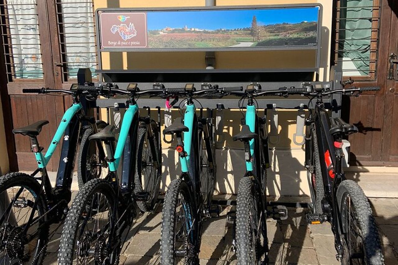 Tour Privato Guidato in E-bike a Bertinoro — 6
