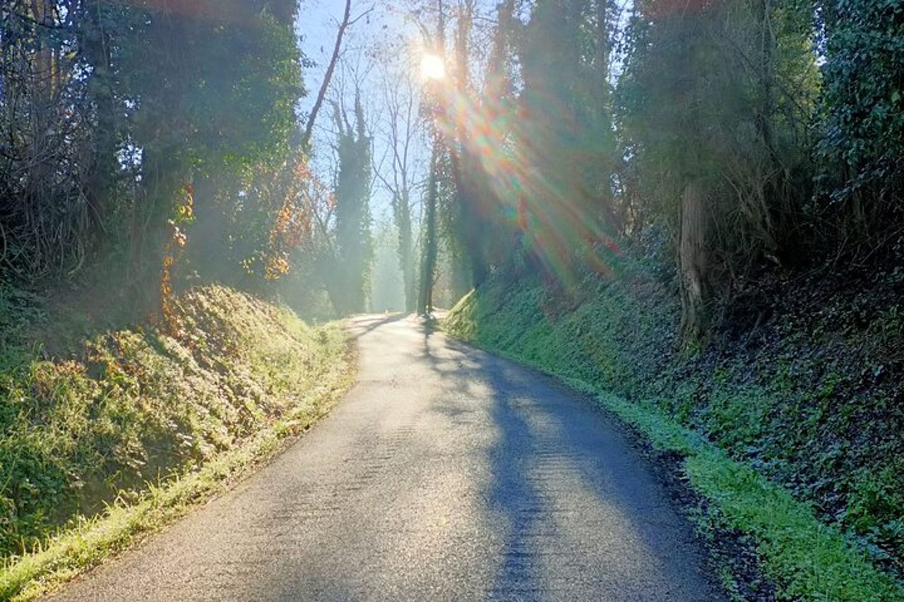 Tour Privato Guidato in E-bike a Bertinoro — 9