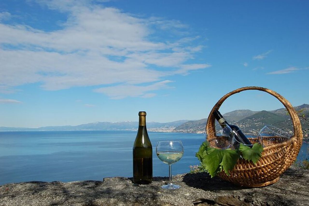 CAMOGLI: Degustazione Vini Liguri PRIVATA e passeggiate nel Parco Nazionale — 7