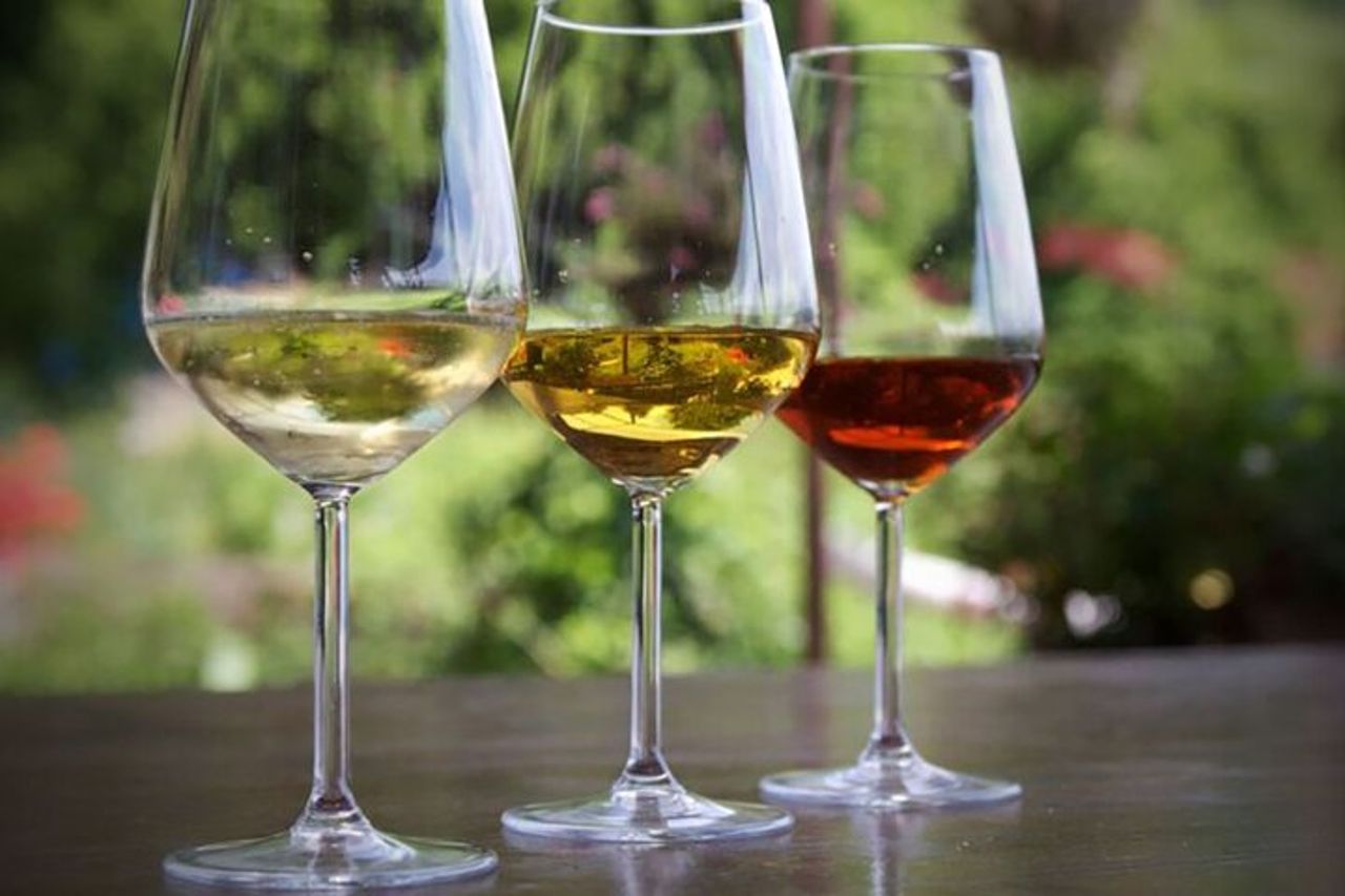 CAMOGLI: Degustazione Vini Liguri PRIVATA e passeggiate nel Parco Nazionale — 2
