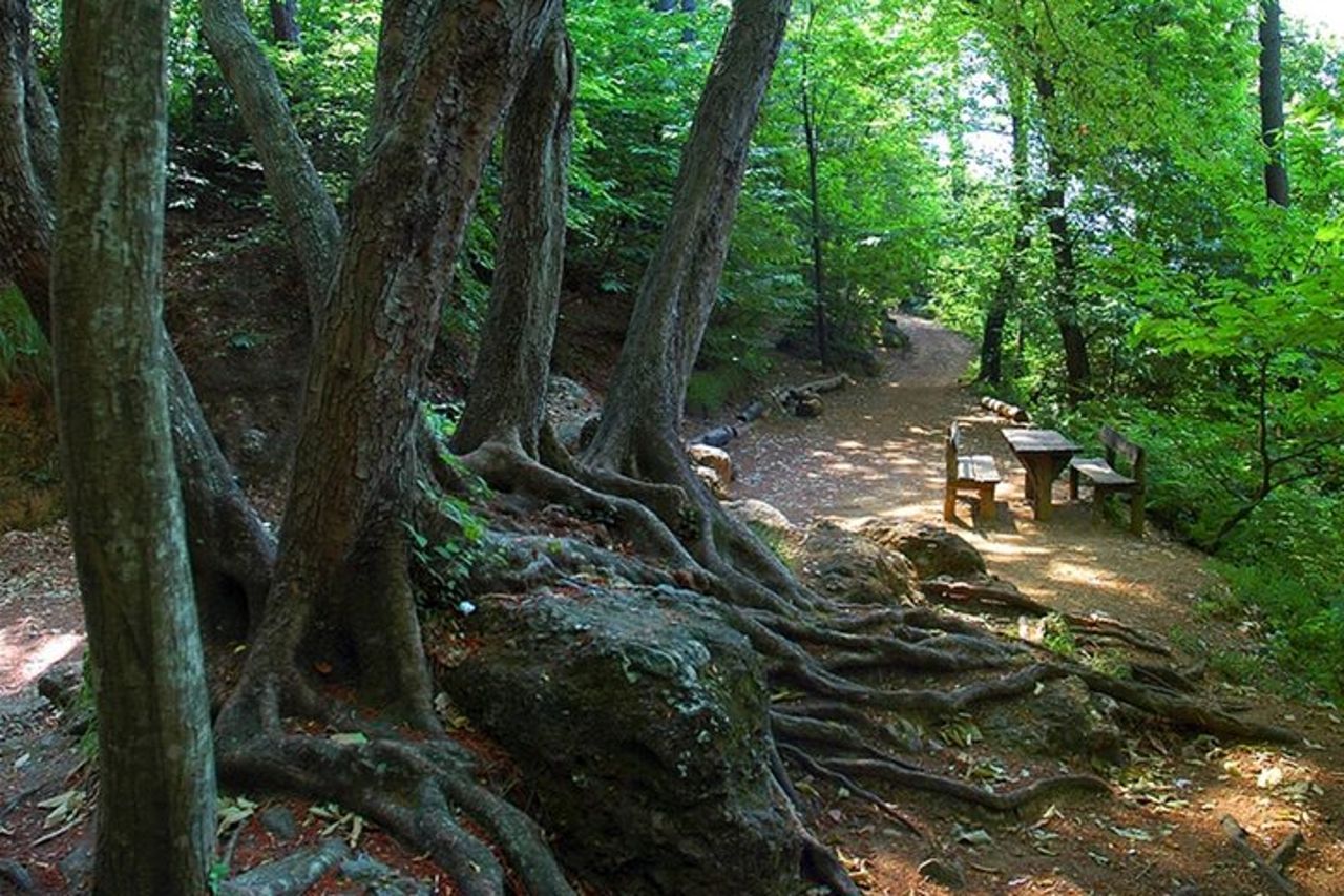 CAMOGLI: Degustazione Vini Liguri PRIVATA e passeggiate nel Parco Nazionale — 4