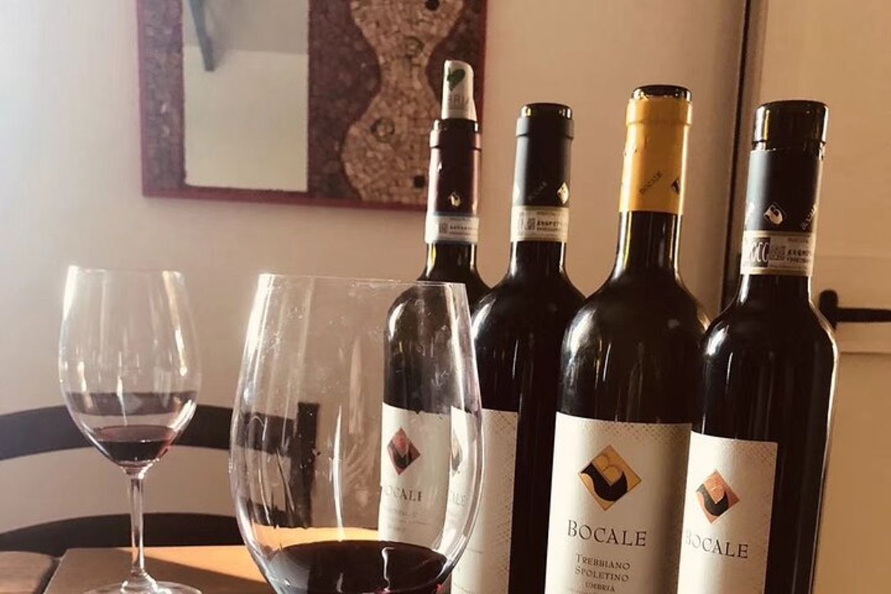 Degustazione Selezione di 4 vini in Montefalco — 2