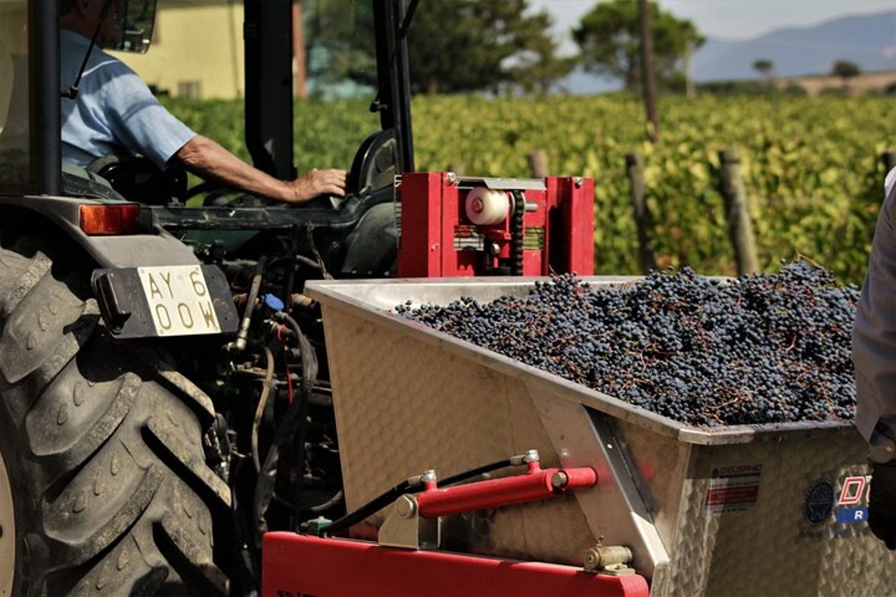 Degustazione Selezione di 4 vini in Montefalco — 7