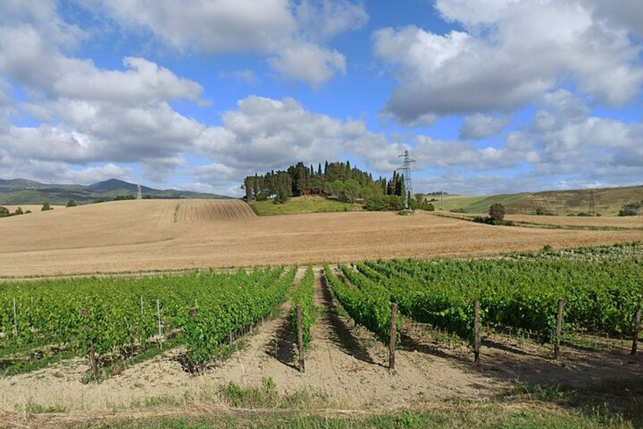 "Buongiorno Chianti Classico" - Tour in 2 cantine con pranzo — 3