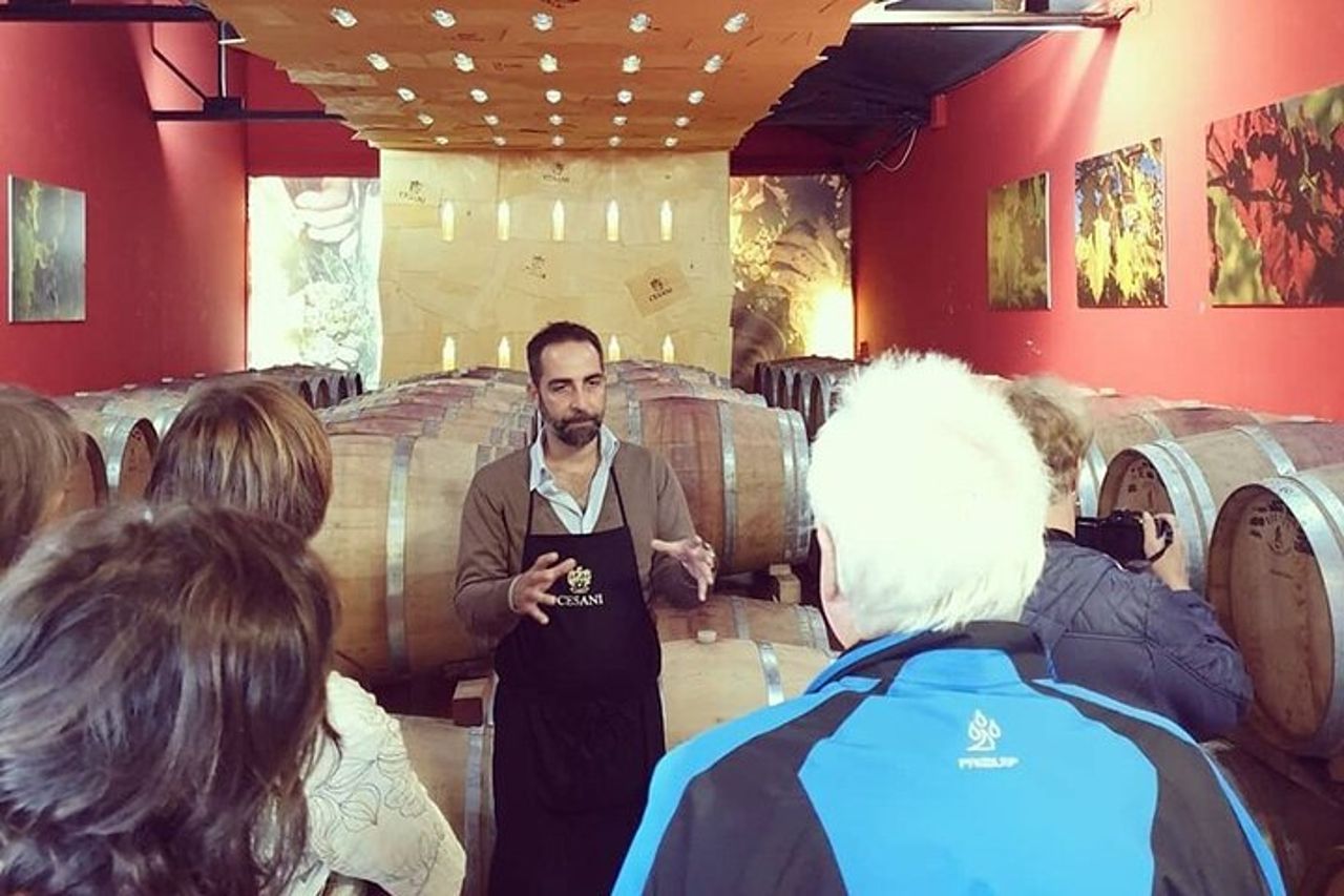 Cesani Wine Experience — 3