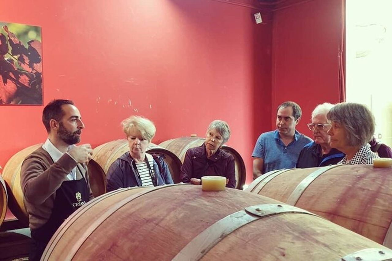 Cesani Wine Experience — 5