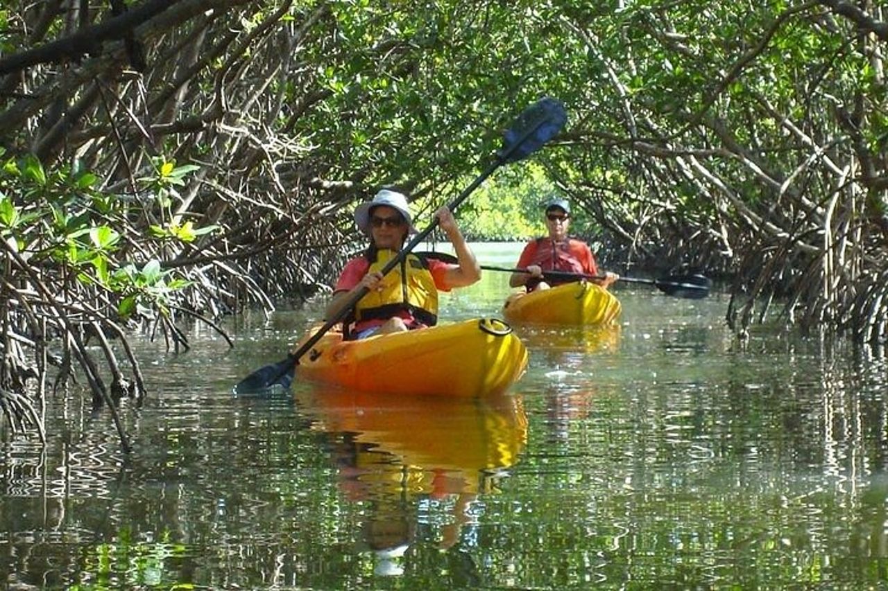 Fort Myers Beach : noleggio kayak o SUP per un'intera giornata a Pelican Bay — 3