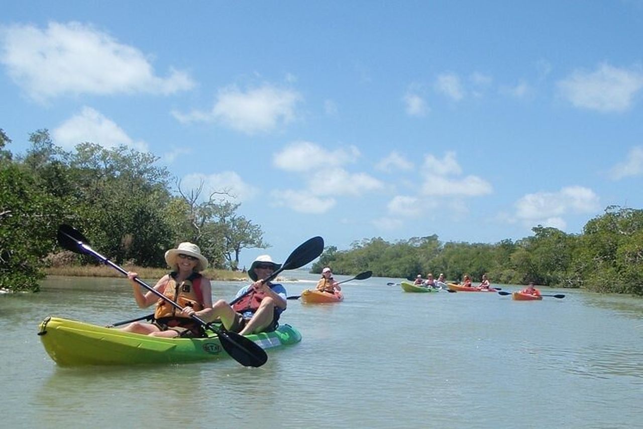 Fort Myers : Bunche Beach Preserve Full Day Noleggio Kayak o SUP