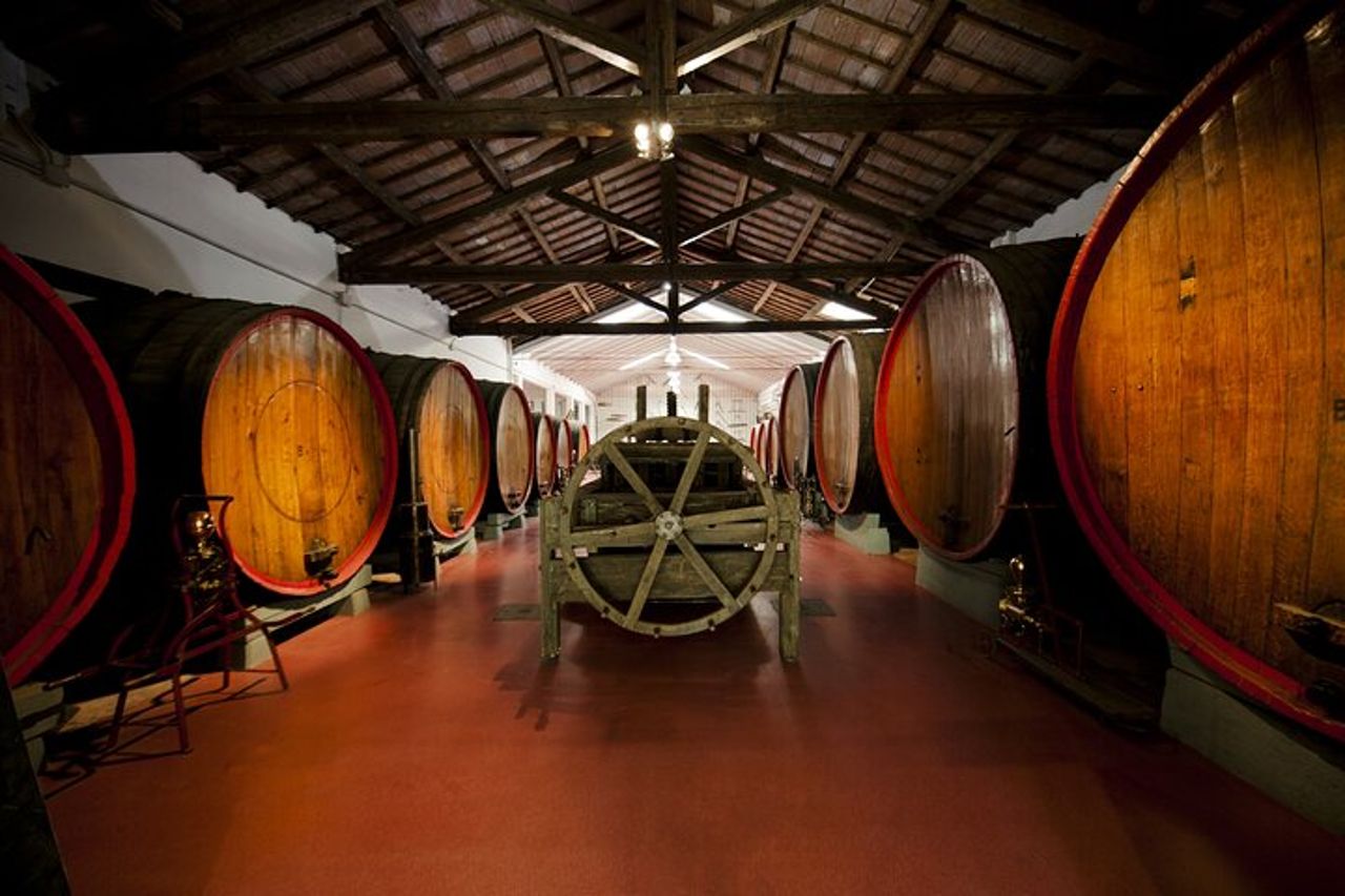 Degustazione di vini Lambrusco e visita in cantina a Modena