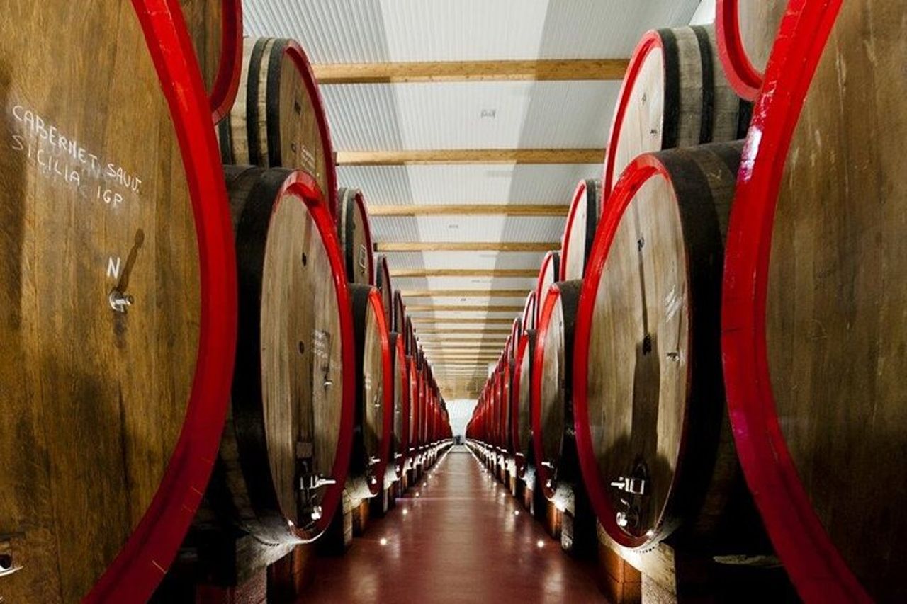 Degustazione di vini Lambrusco e visita in cantina a Modena — 2