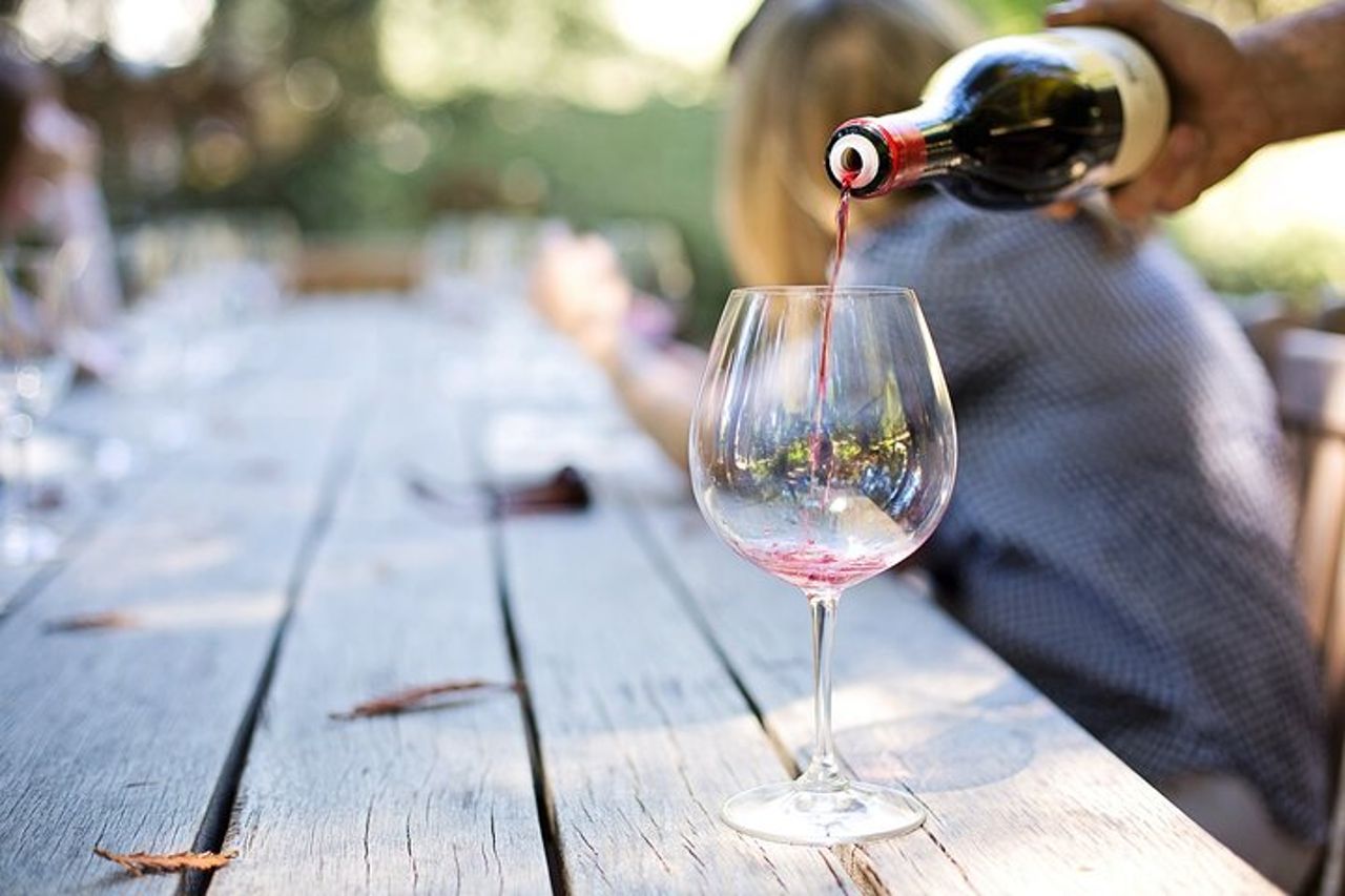 Degustazione di vini Lambrusco e visita in cantina a Modena — 7