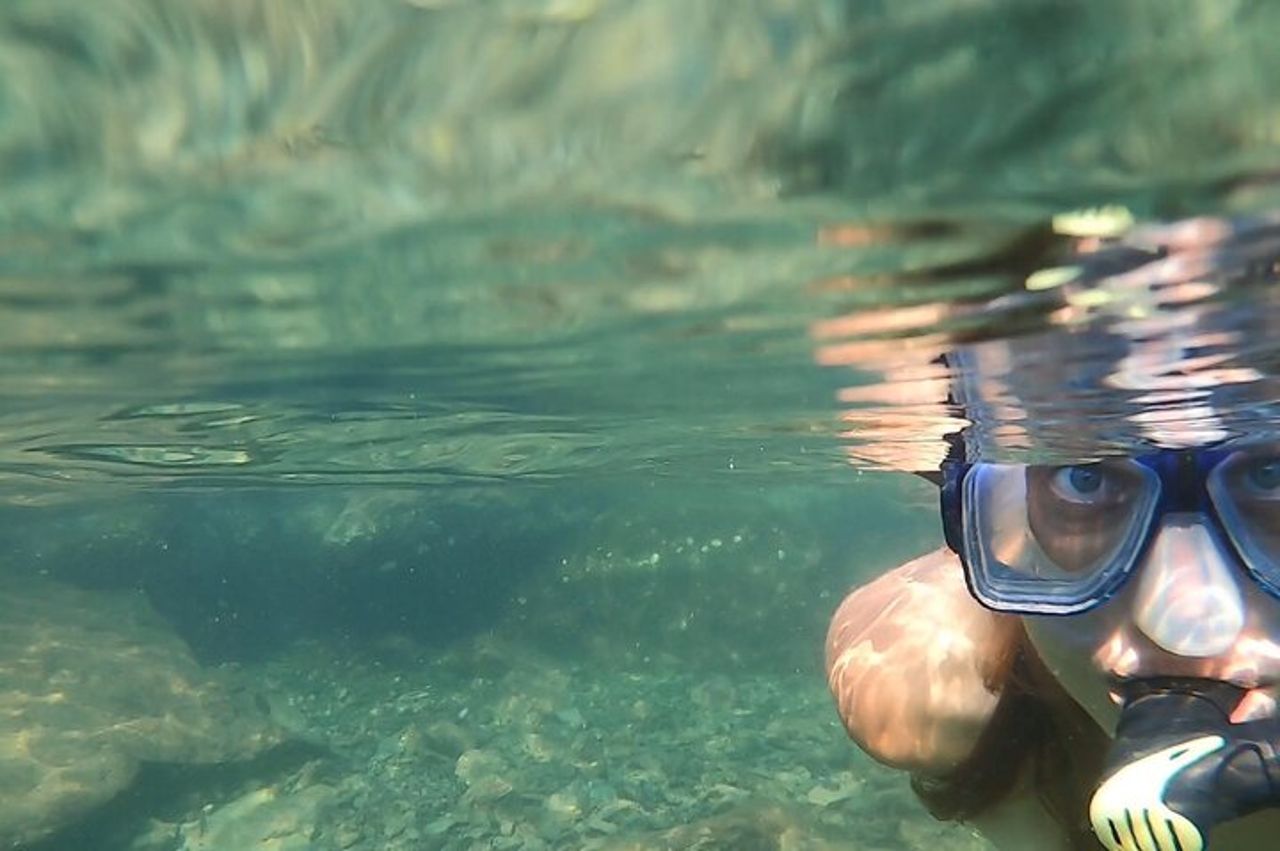 Catamarano privato: snorkeling, nuoto e osservazione dei delfini — 2