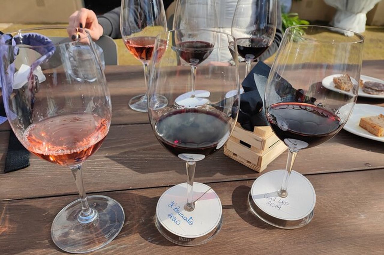 Tour Privato dal Porto di Livorno a Bolgheri — 3