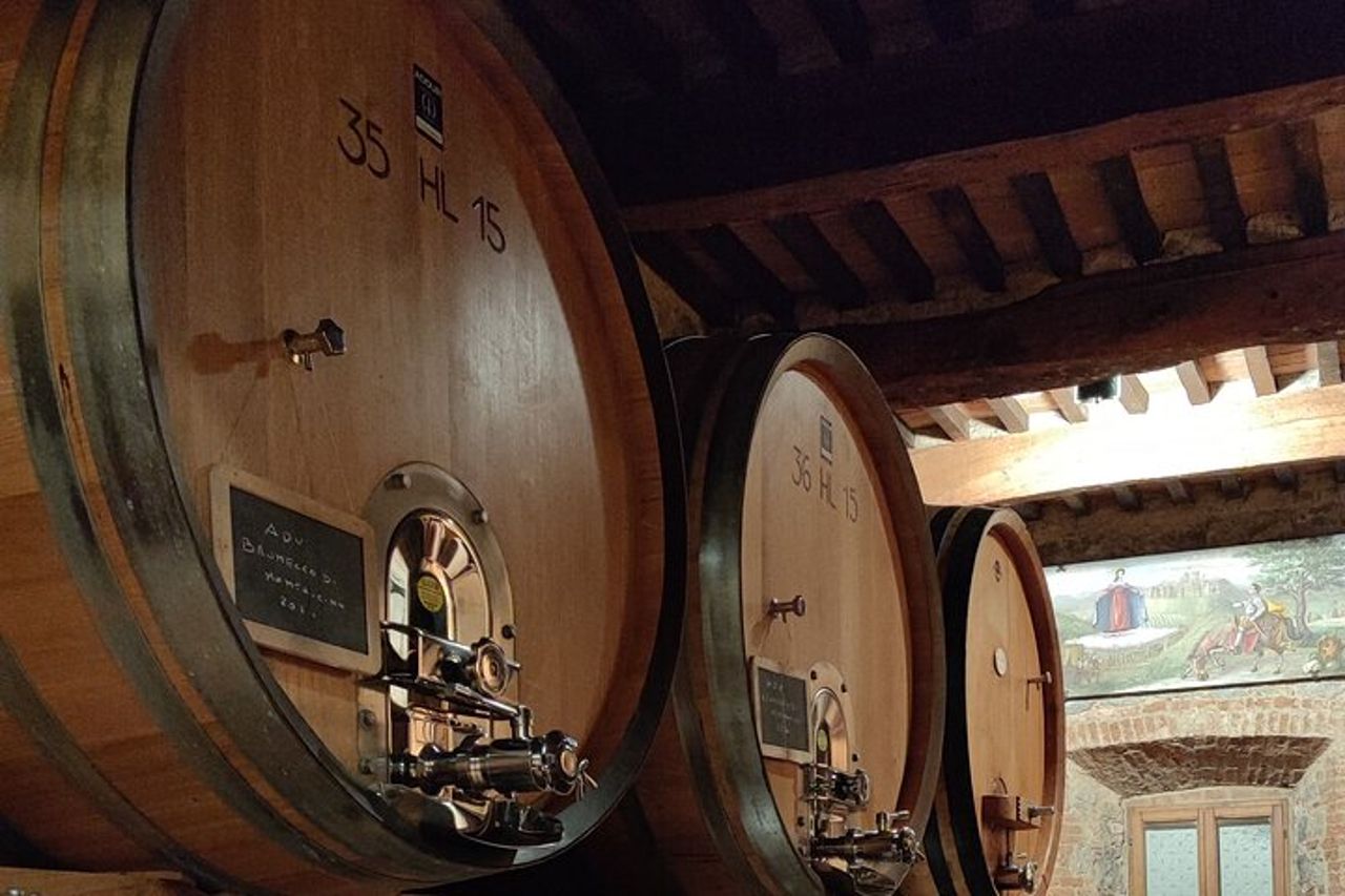 Montalcino, trekking nel vigneto, degustazione Enomusicale e Cacio di Pienza! — 2
