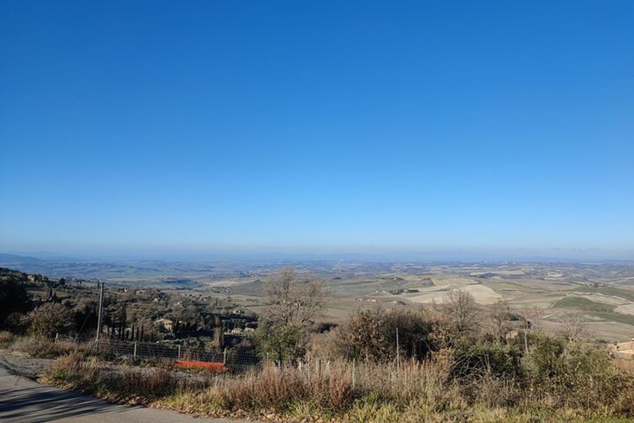 Montalcino, trekking nel vigneto, degustazione Enomusicale e Cacio di Pienza! — 5