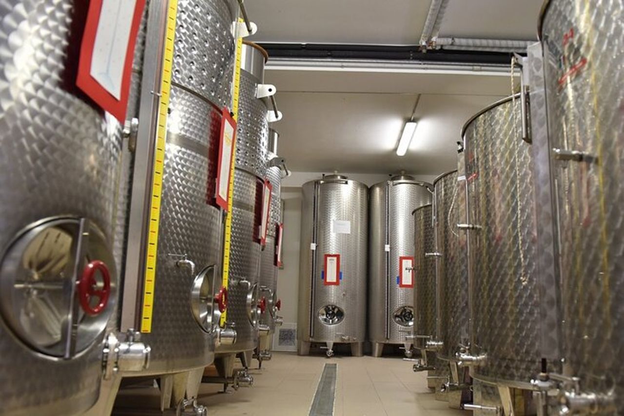 Degustazione Vini e Visita Guidata in Vigna e Cantina a S. Maria Imbaro — 8