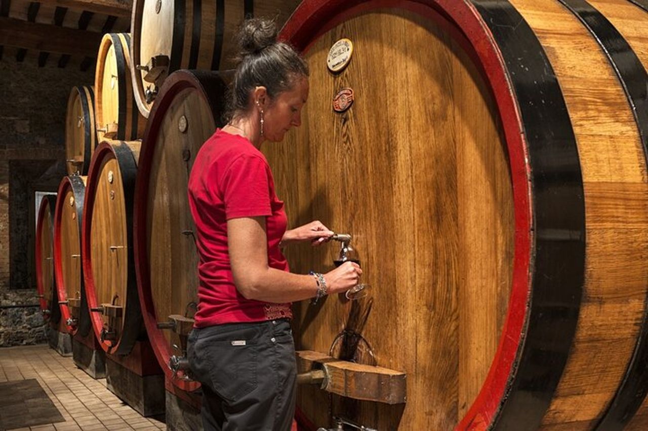 1-Ora di Esperienza con il Brunello Visita in Vigna e in Cantina — 5