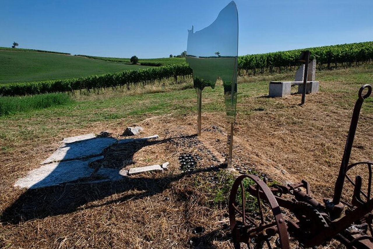 1-Ora di Esperienza con il Brunello Visita in Vigna e in Cantina — 2