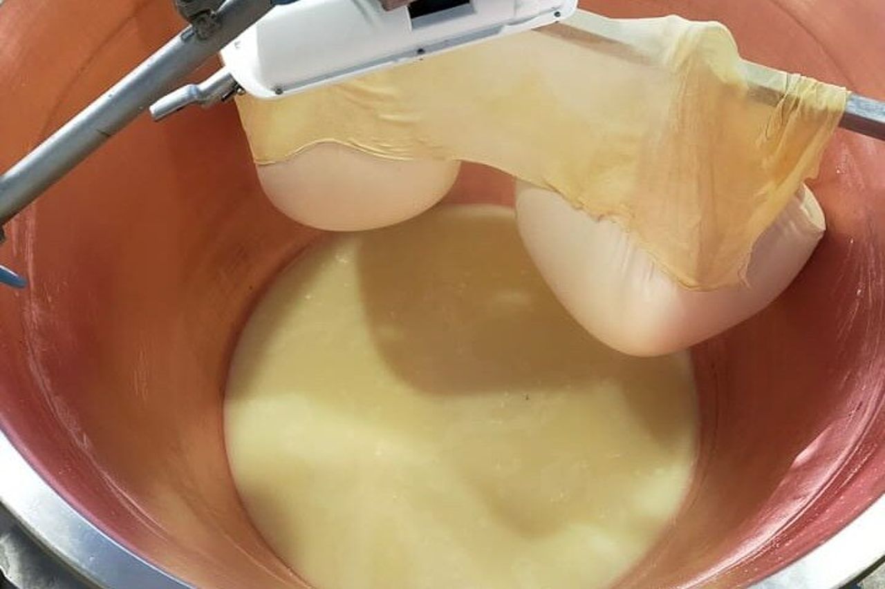 Visite private alle fabbriche di aceto balsamico e parmigiano reggiano — 6