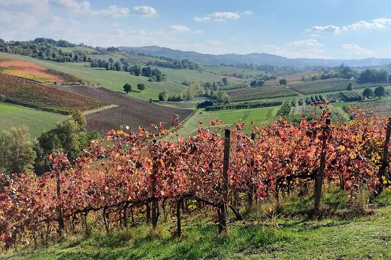 Visite private alle fabbriche di aceto balsamico e parmigiano reggiano — 3