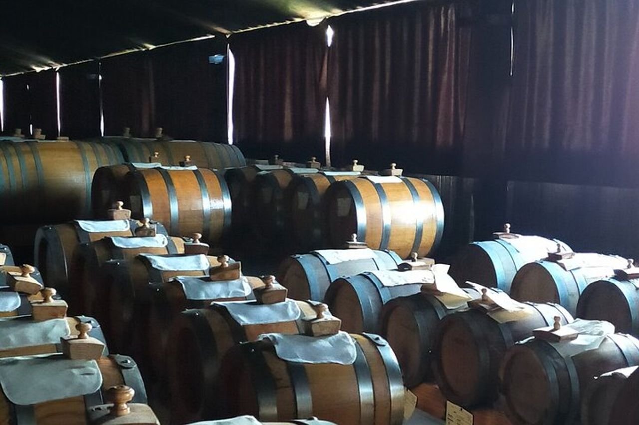 Visite private alle fabbriche di aceto balsamico e parmigiano reggiano — 4