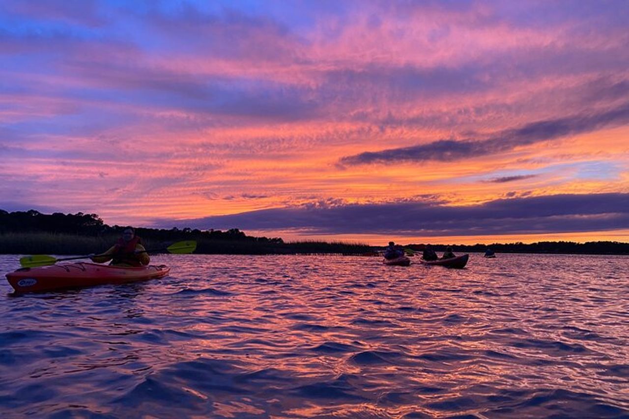 Tour naturalistico guidato in kayak di 2 ore all'Hilton Head — 8