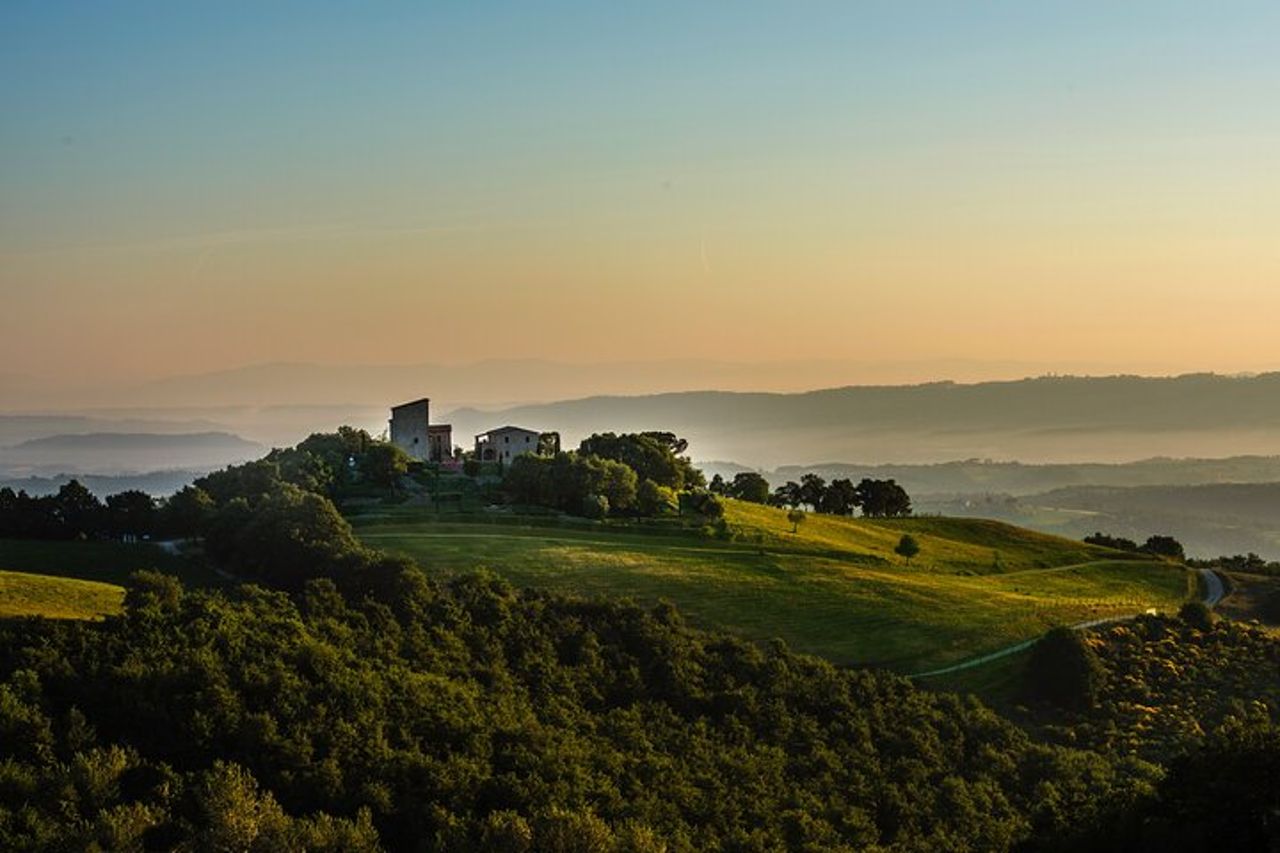 Wine Experience alla Cantina Torre Bisenzio