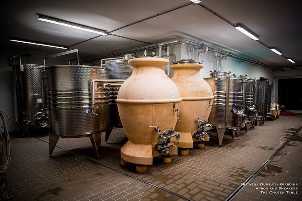 Wine Experience alla Cantina Torre Bisenzio — 4