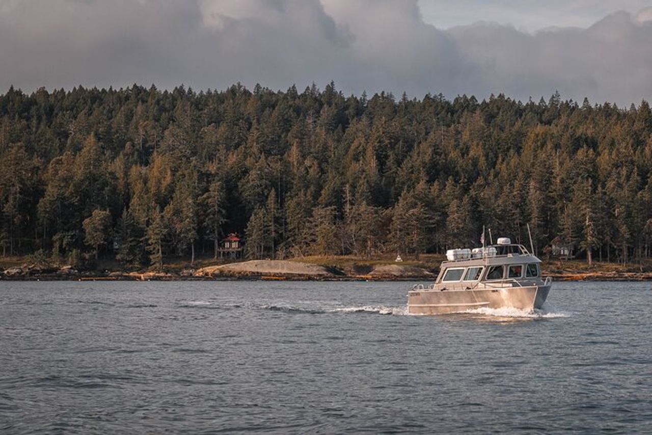 Nanaimo Whale Watching in una barca semi-coperta