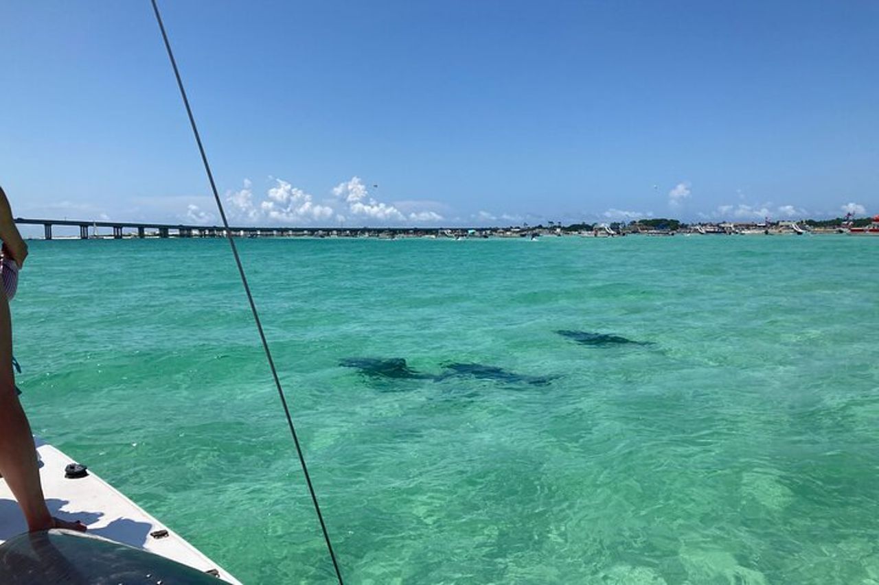 Catamarano privato: snorkeling, nuoto e osservazione dei delfini — 8