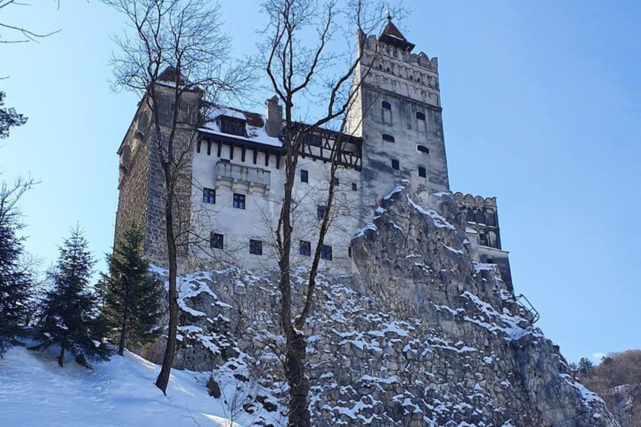 Castelli di Bran e Peles, Santuario dell'Orso e Degustazione di Palinca con biglietti — 5