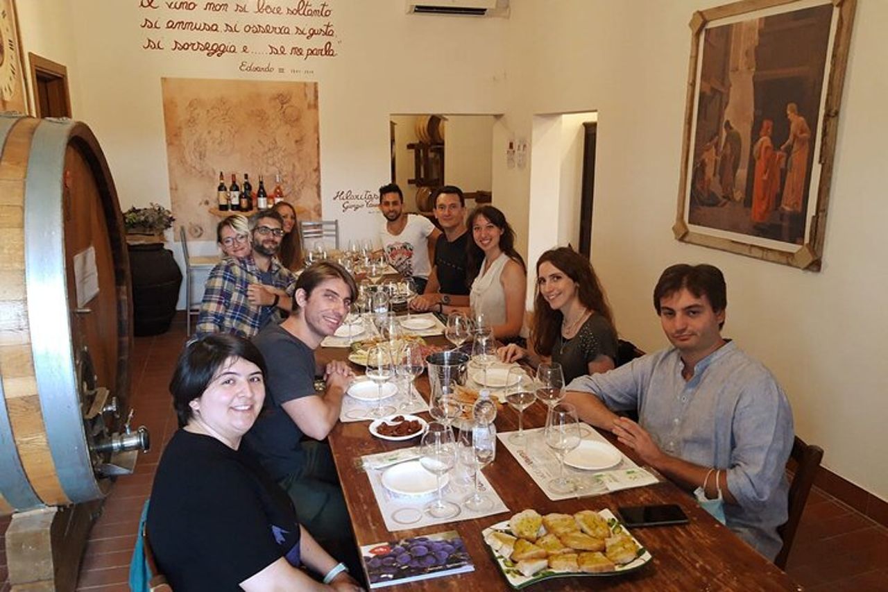 Degustazione Privata di Vini Biologici in Cantina a Mugliano — 4