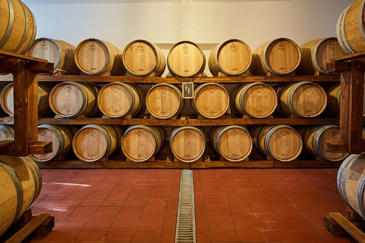 Degustazione Privata di Vini Biologici in Cantina a Mugliano — 5