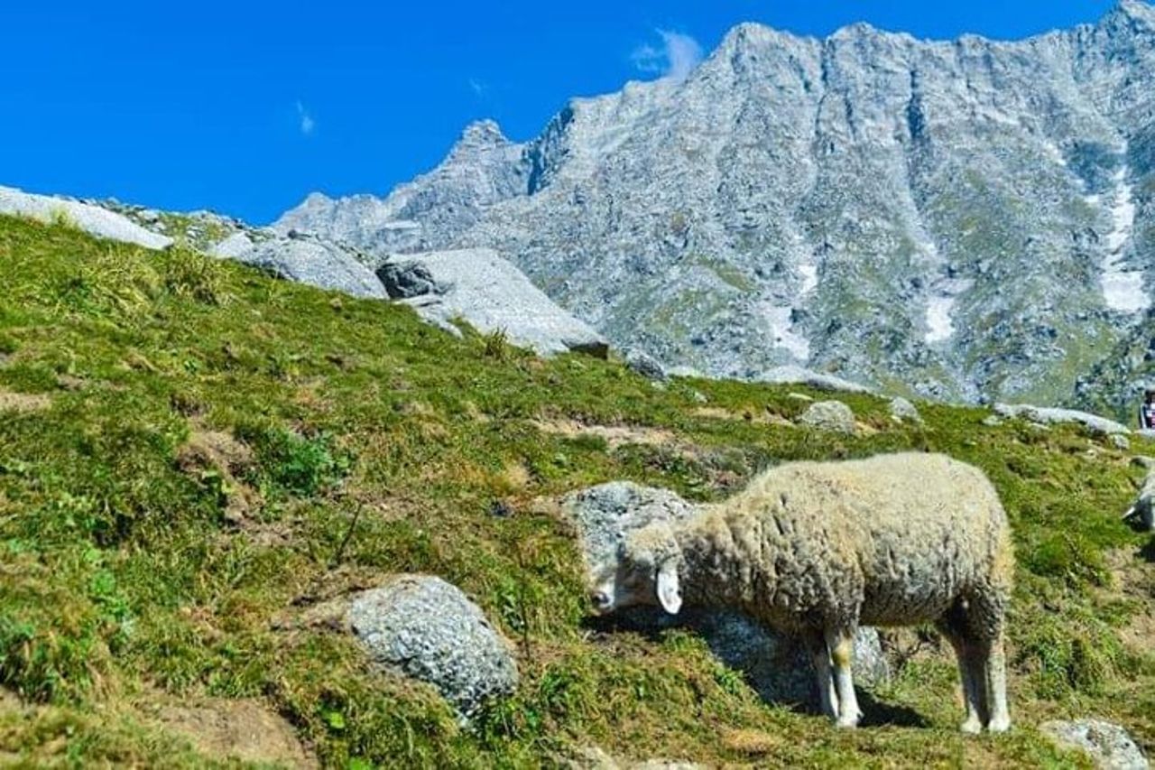 Indrahar Pass Trekking con Manu Adventures India — 6