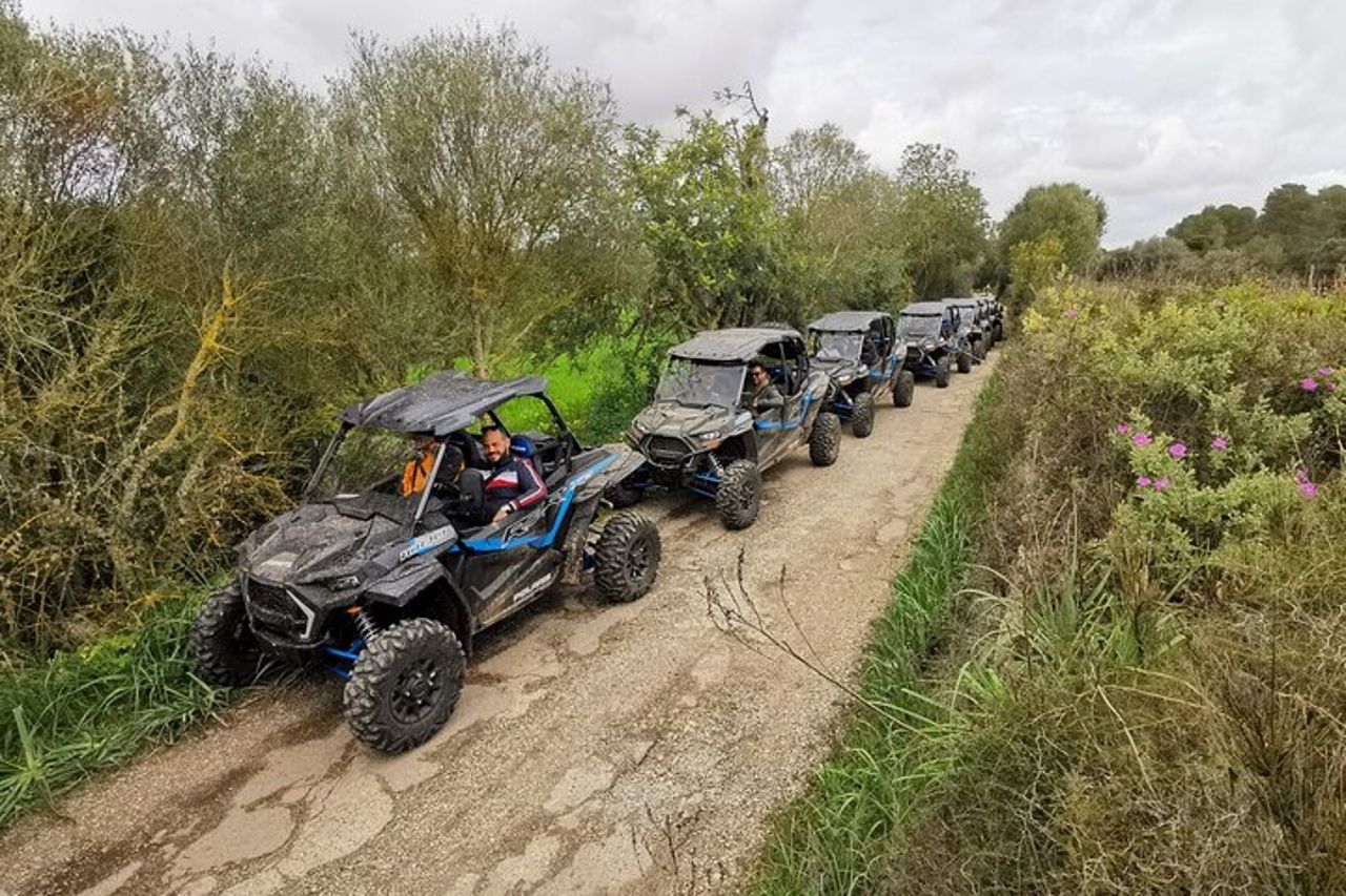 Tour fuoristrada in buggy a 2 e 4 posti a Maiorca — 4