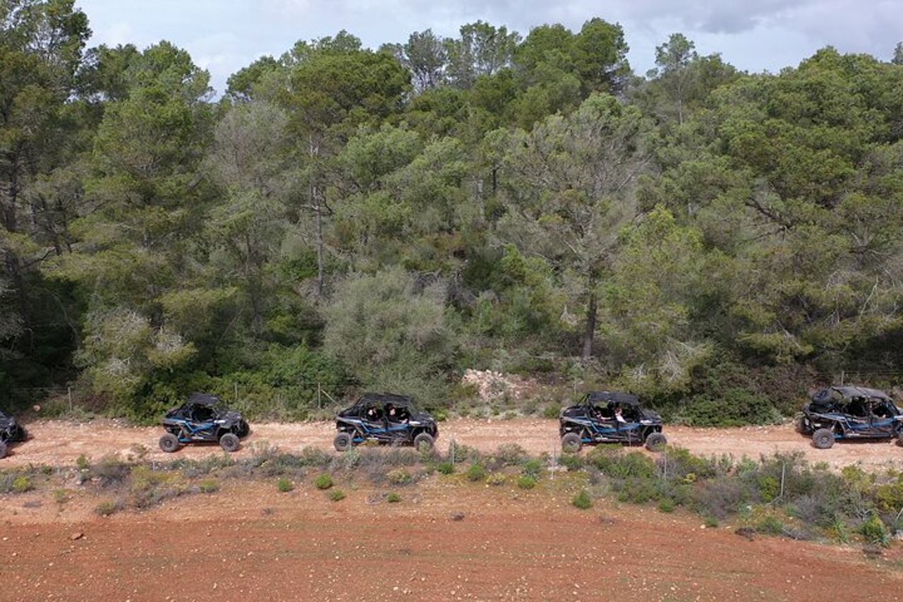 Tour fuoristrada in buggy a 2 e 4 posti a Maiorca — 6