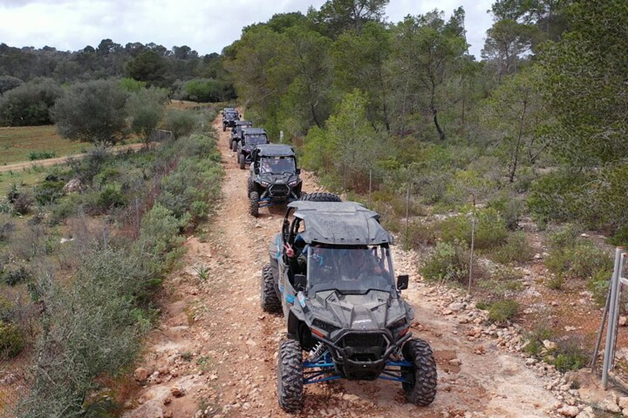 Tour fuoristrada in buggy a 2 e 4 posti a Maiorca — 7