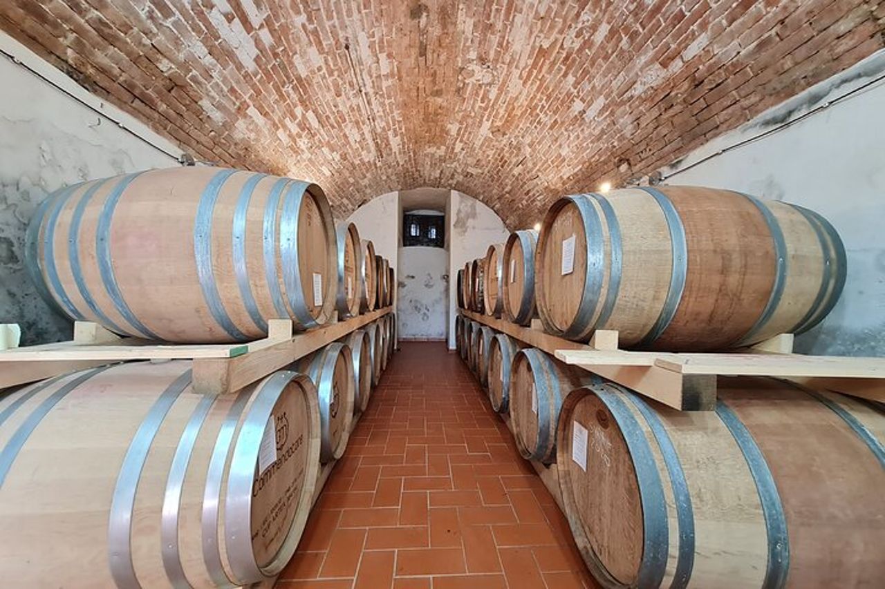 Degustazione di vino e olio — 3