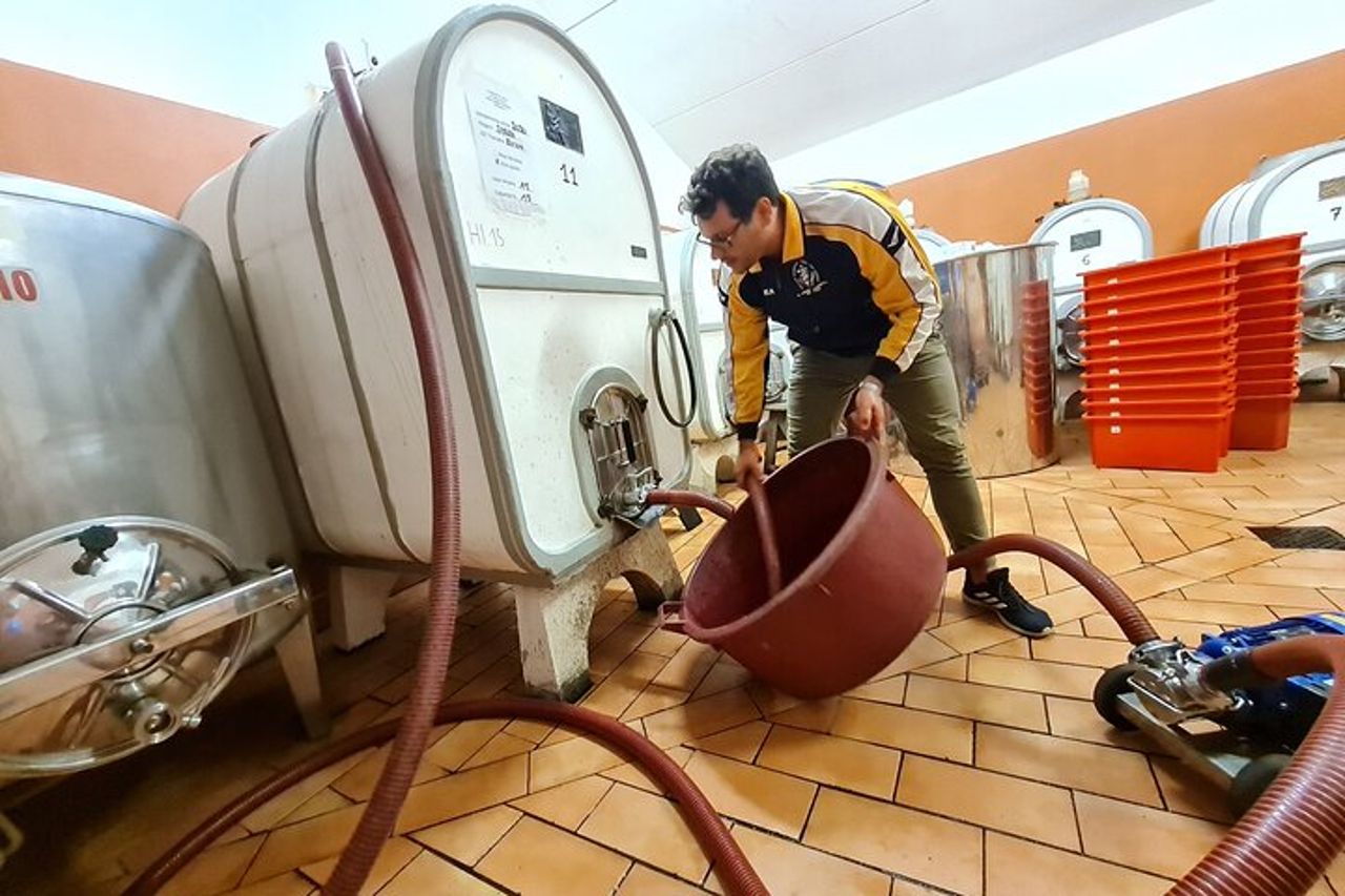 Degustazione di vino e olio — 4