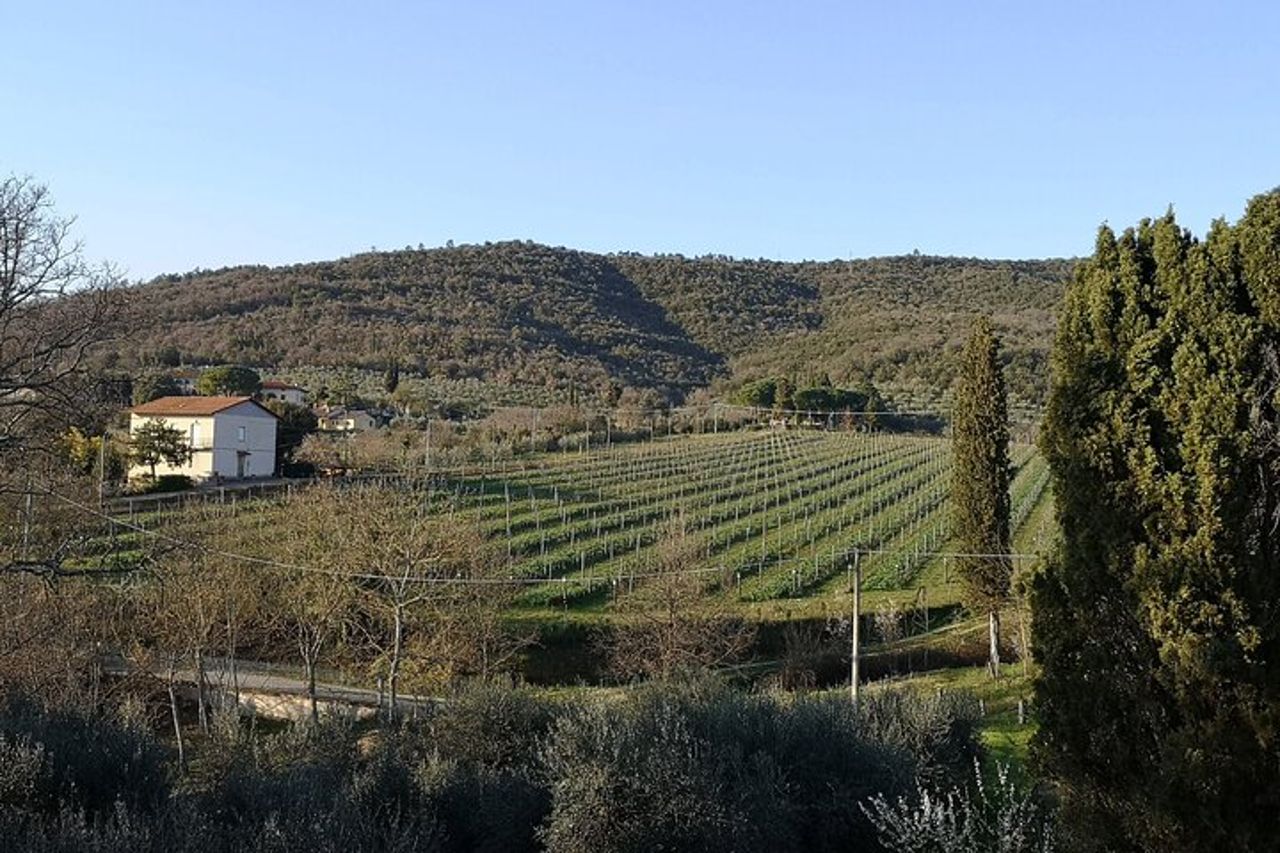 Degustazione di vino e olio — 5