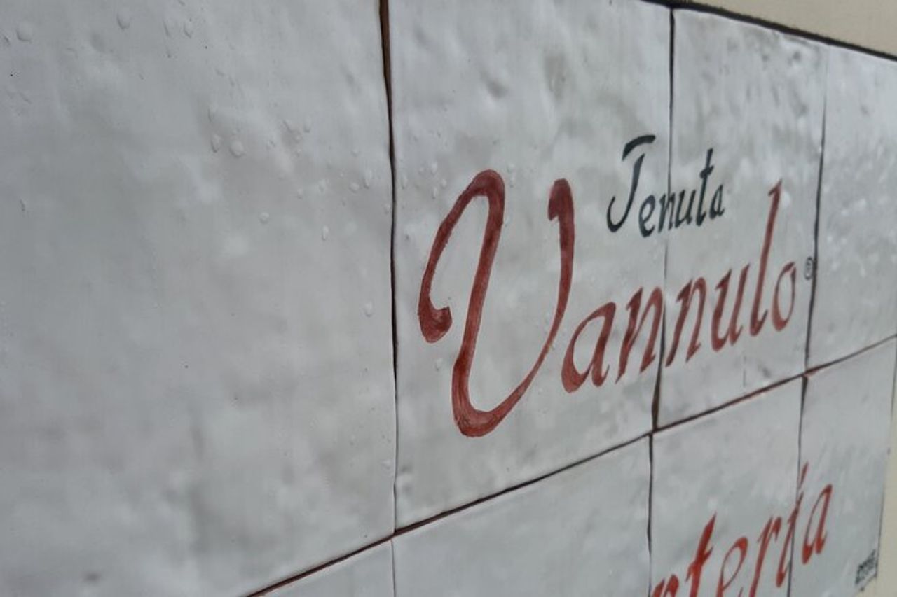 Da Castellabate: Templi di Paestum+Mozzarella Farm — 6