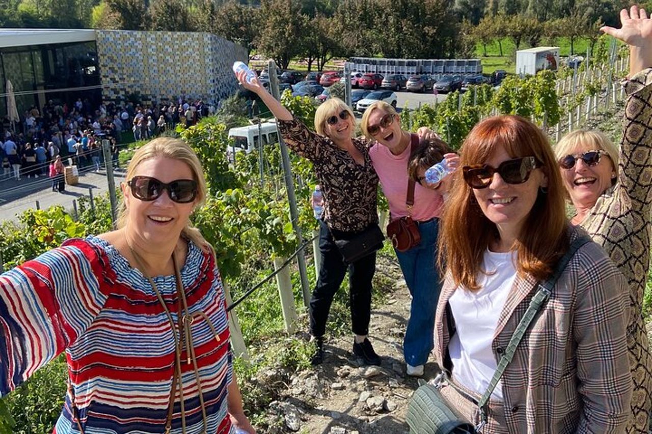 Passeggiata tra i vigneti di Sion e vino e cena — 4