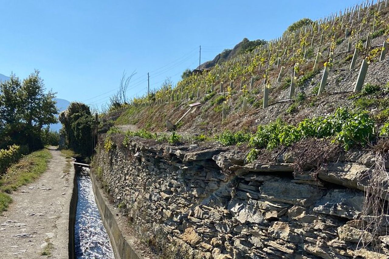 Passeggiata tra i vigneti di Sion e vino e cena — 2